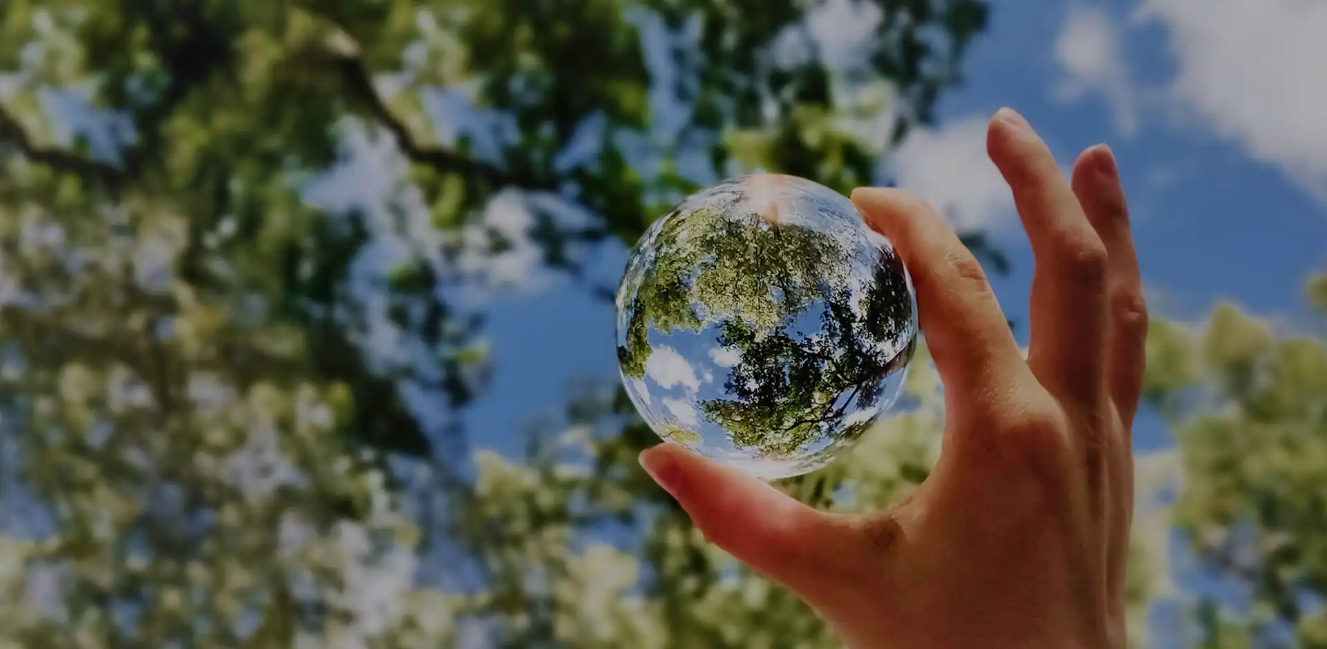 버려지는 자원으로 바이오매스 에너지를 개발 합니다.