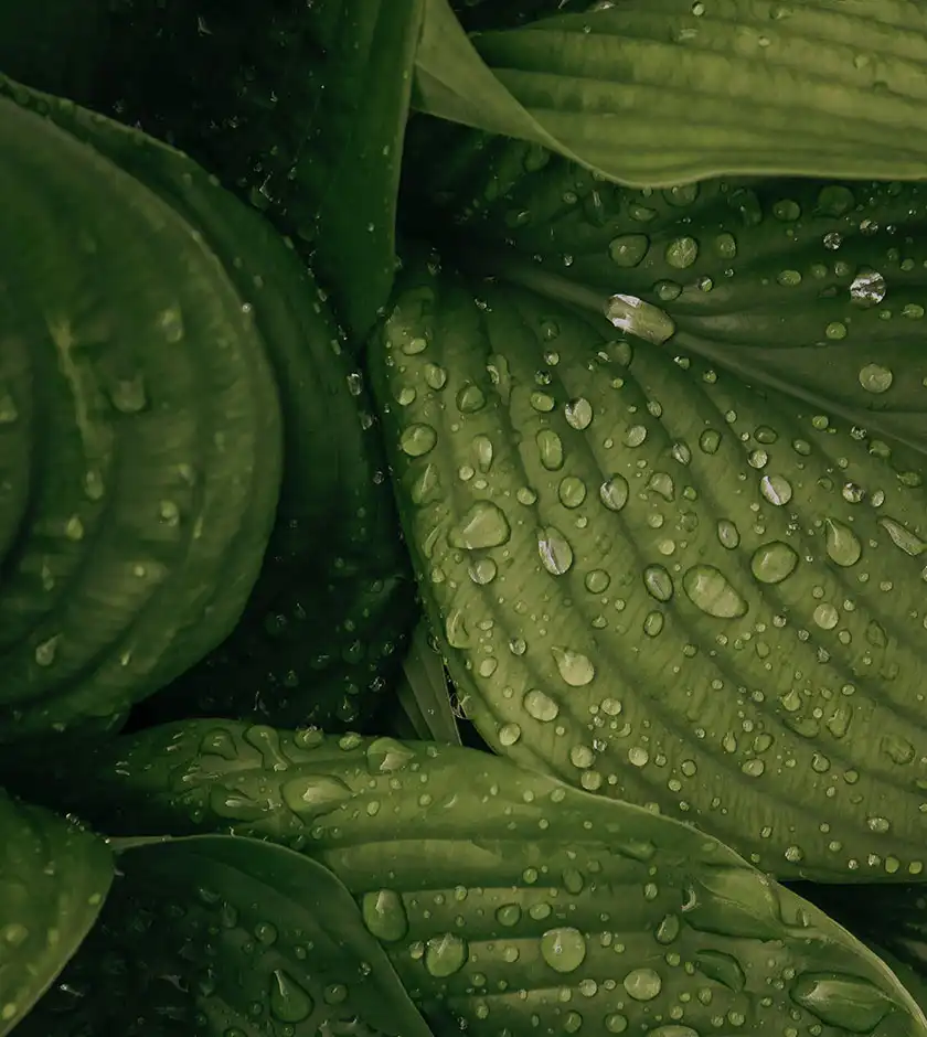 바이오차 제조 시스템,가축분펠릿화설비,비료펠릿제조시스템,사료용펠릿제조시스템,첨일염 가공 포장설비